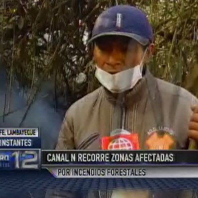 Incendios forestales: pobladores de Ferreñafe piden ayuda de ... - Canal N